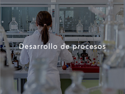 Desarrollo de procesos