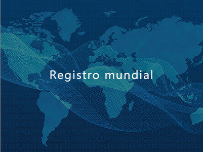 Registro mundial