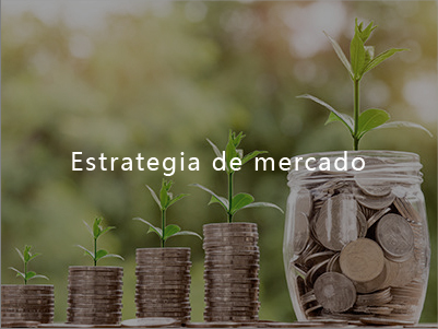 Estrategia de mercado